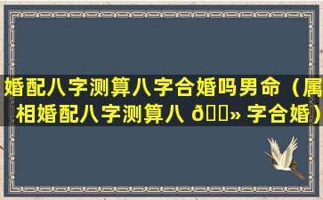 婚配八字测算八字合婚吗男命（属相婚配八字测算八 🌻 字合婚）